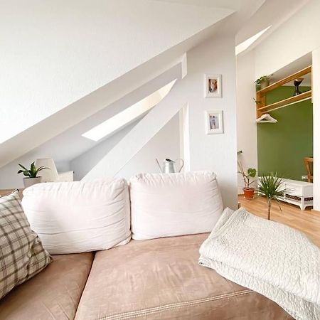 Schoene Ferienwohnung Mit Blick Ueber Stadtwald Lipsko Exteriér fotografie