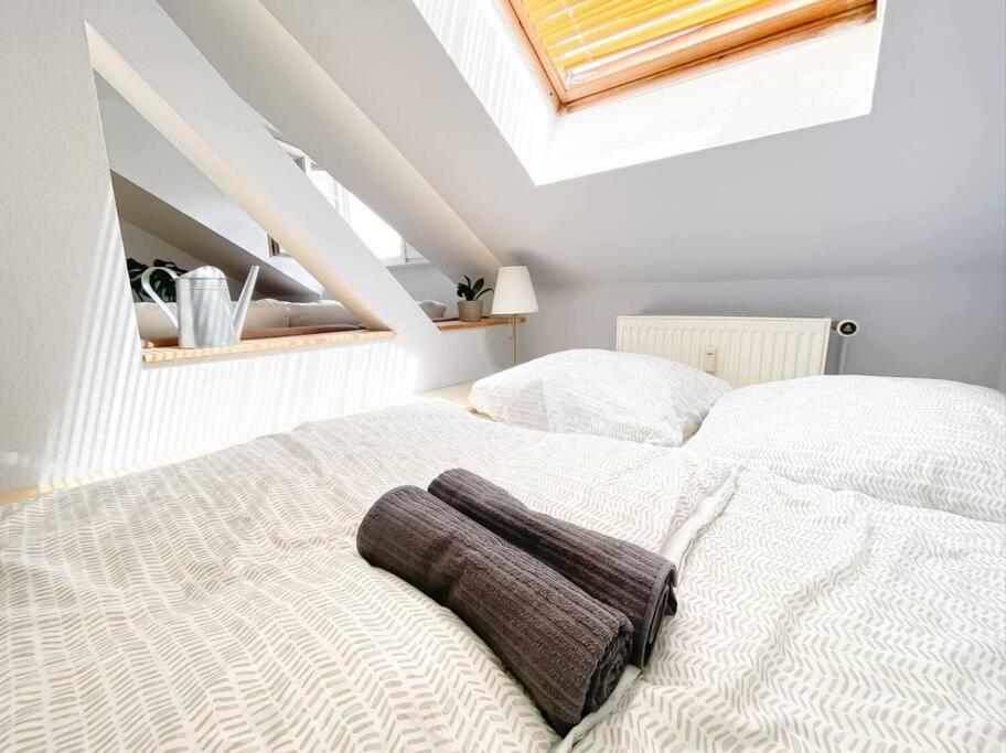 Schoene Ferienwohnung Mit Blick Ueber Stadtwald Lipsko Exteriér fotografie